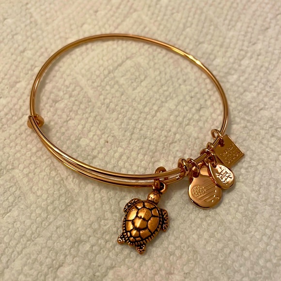 Alex and Ani Jewelry - EUC alex and ani turtle bangle